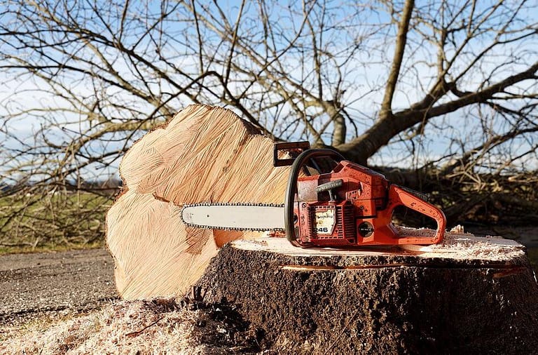 tree stump removing